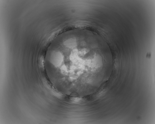 X0000115450575200911181550