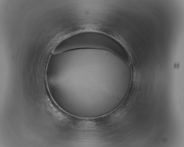 X0000115450577200911181549