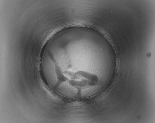 X0000115450578200911181549