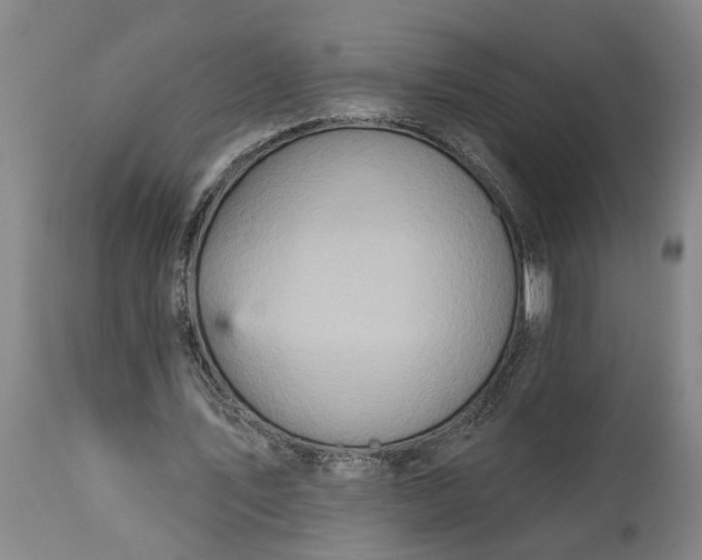 X0000115450579200911181549