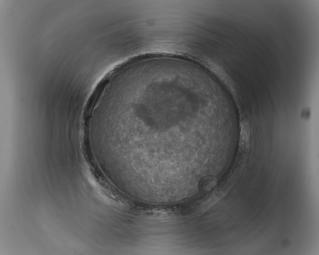 X0000115450580200911181549