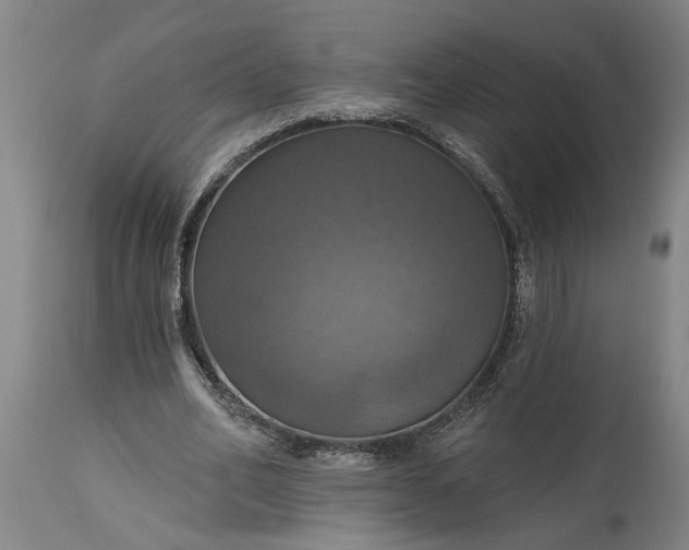 X0000115450582200911181549