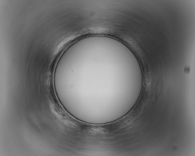 X0000115450583200911181549