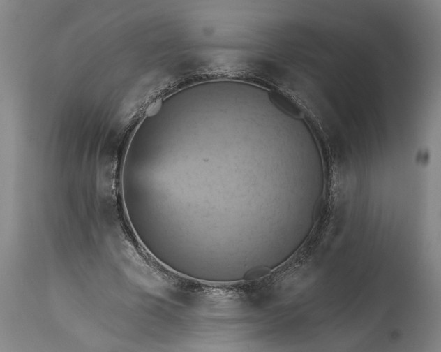 X0000115450585200911181549