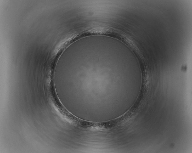 X0000115450586200911181549