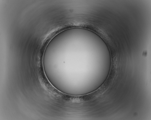 X0000115450587200911181549