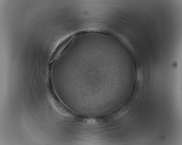 X0000115450588200911181549