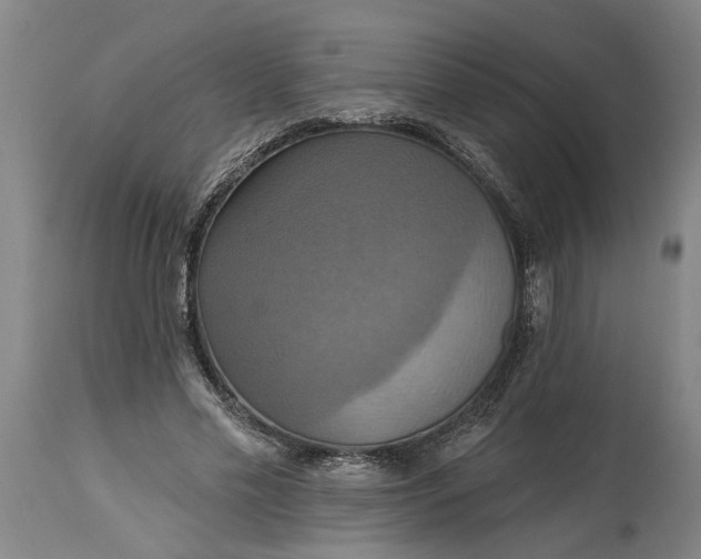 X0000115450589200911181549