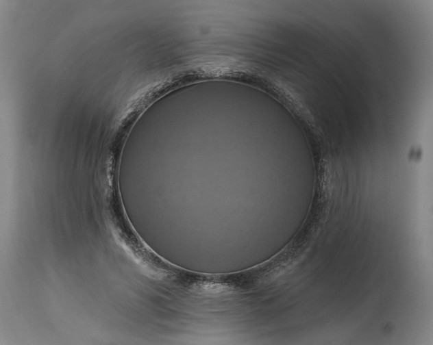 X0000115450590200911181549