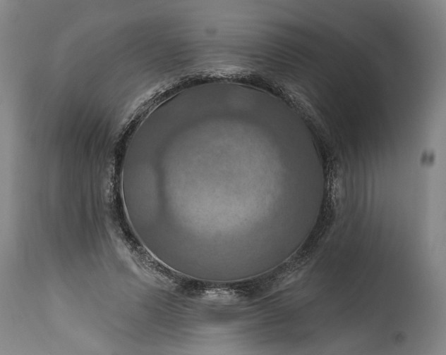 X0000115450591200911181549