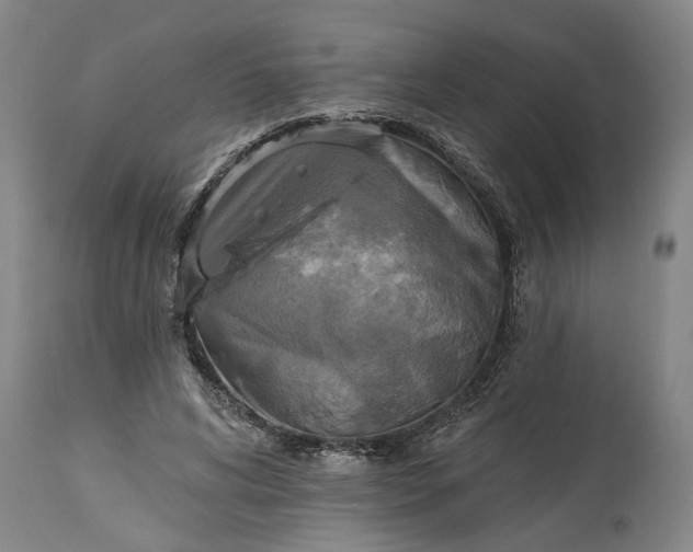 X0000115450592200911181549