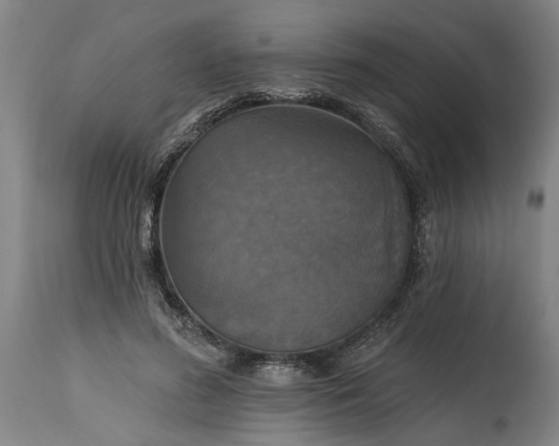 X0000115450596200911181549