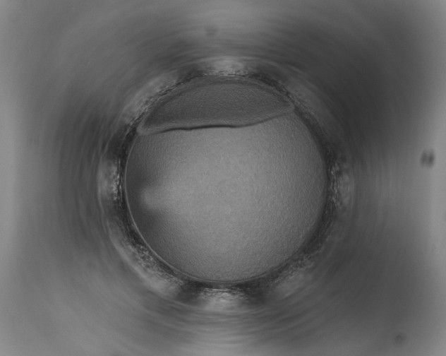 X0000115450597200911181549