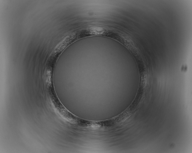 X0000115450598200911181549