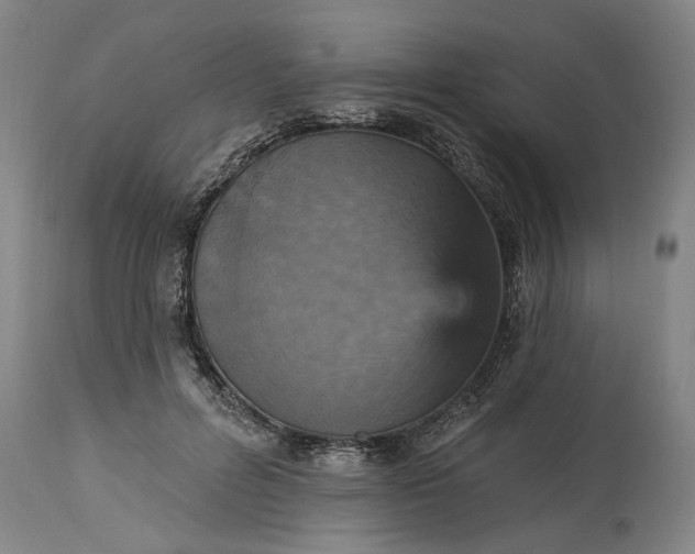 X0000115450600200911181549