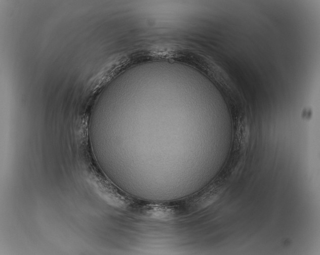 X0000115450601200911181549