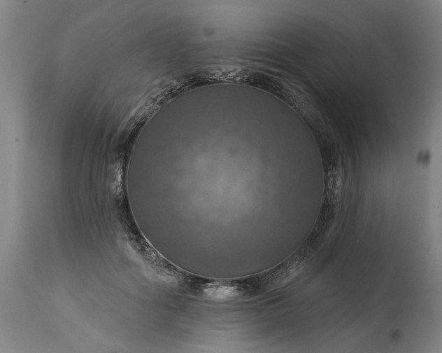 X0000115450602200911181549