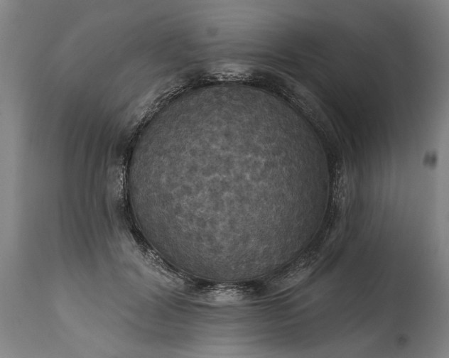 X0000115450604200911181549