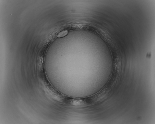 X0000115450605200911181549