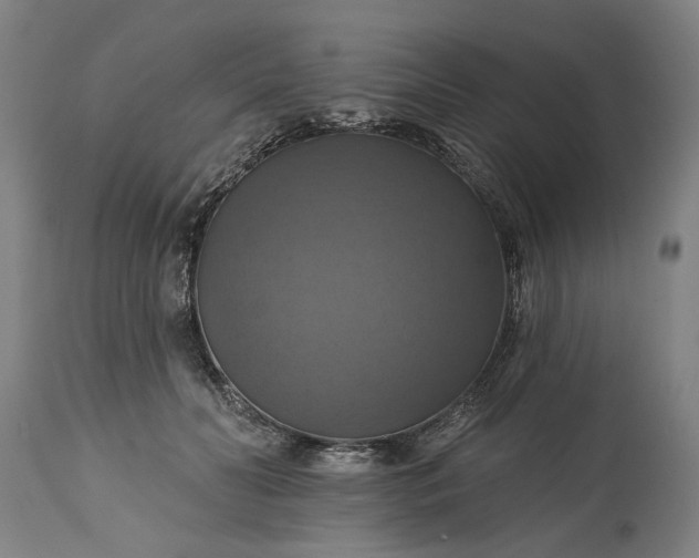 X0000115450606200911181549