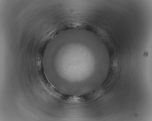 X0000115450607200911181549