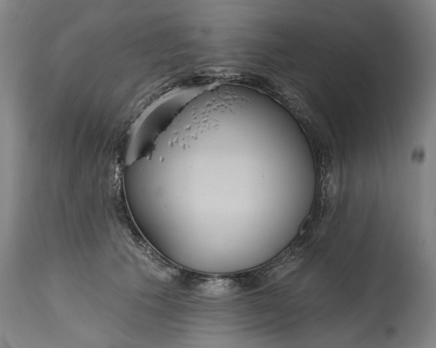 X0000115450609200911181549