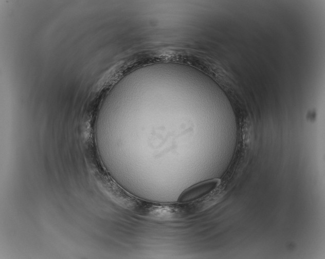 X0000115450611200911181549