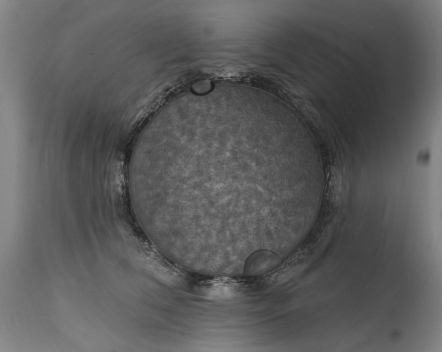 X0000115450612200911181548