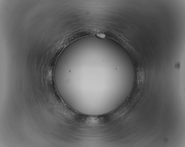 X0000115450613200911181548