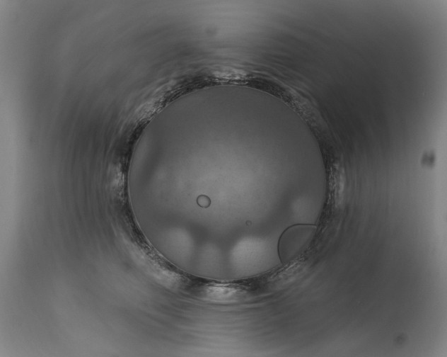 X0000115450614200911181548