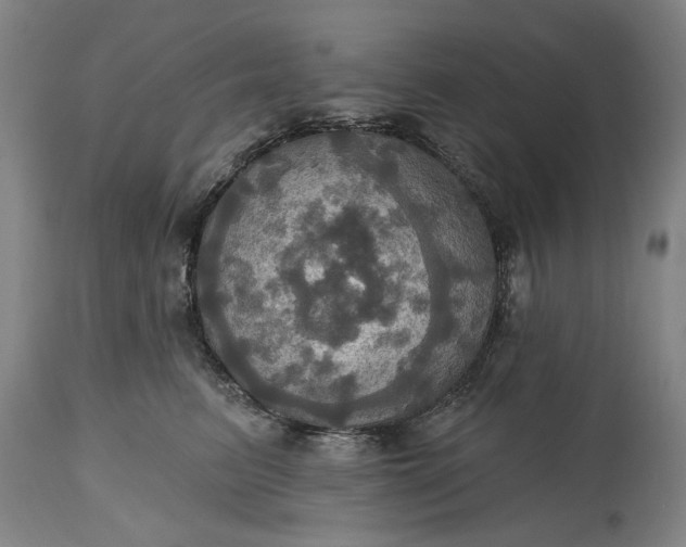 X0000115450615200911181548