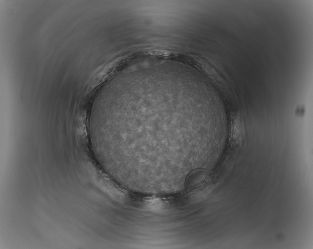 X0000115450616200911181548