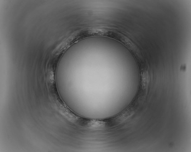 X0000115450617200911181548