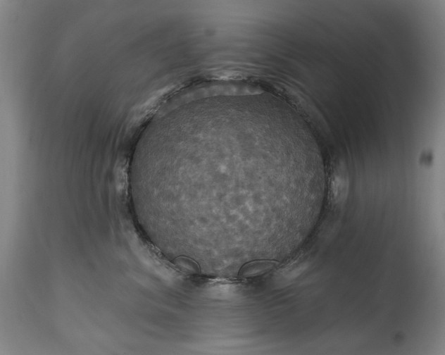 X0000115450620200911181548