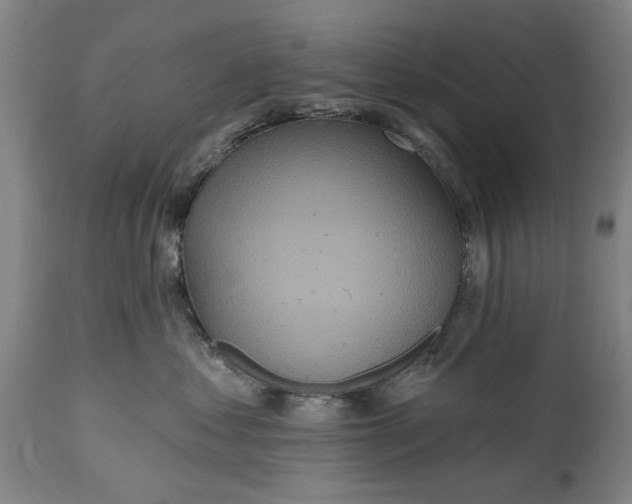 X0000115450621200911181548