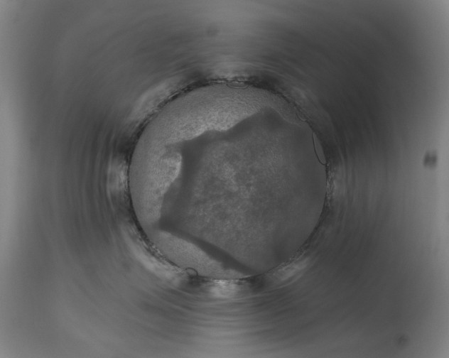 X0000115450623200911181548