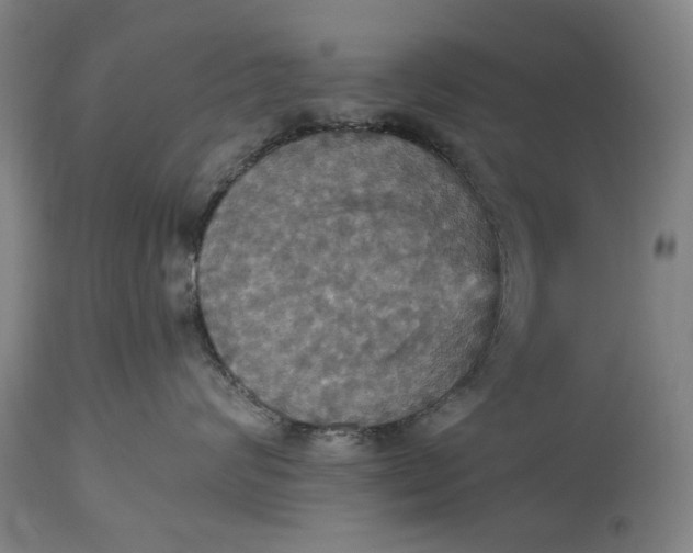 X0000115450624200911181548