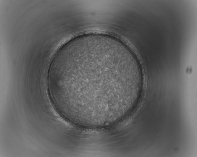 X0000115450625200911181547