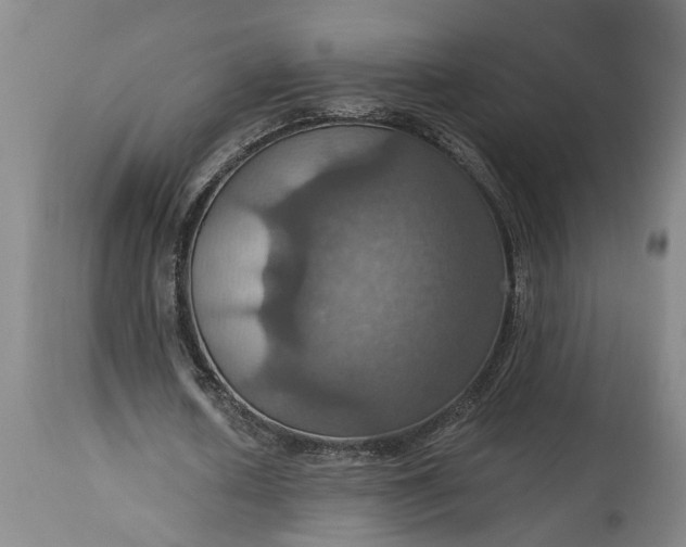 X0000115450626200911181548