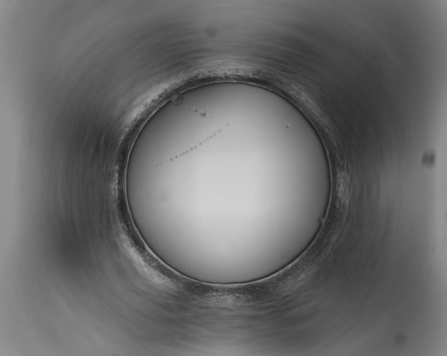 X0000115450629200911181548