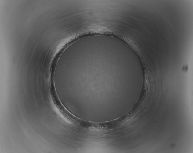 X0000115450630200911181548