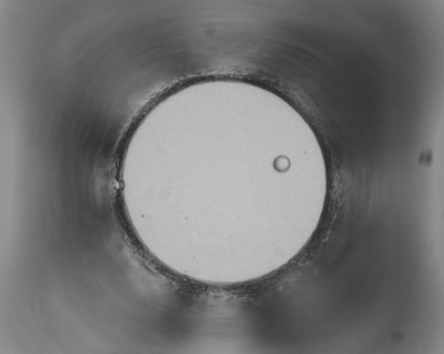 X0000115450632200911181548