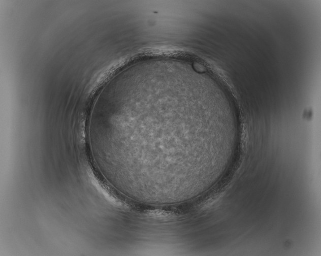 X0000115450633200911181548