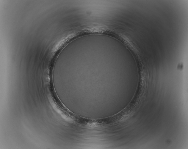 X0000115450634200911181548