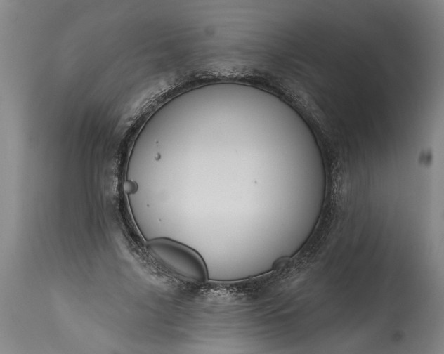 X0000115450635200911181548