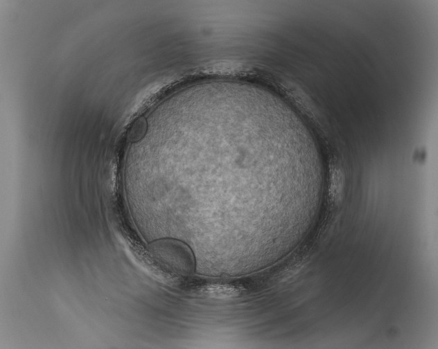 X0000115450636200911181548