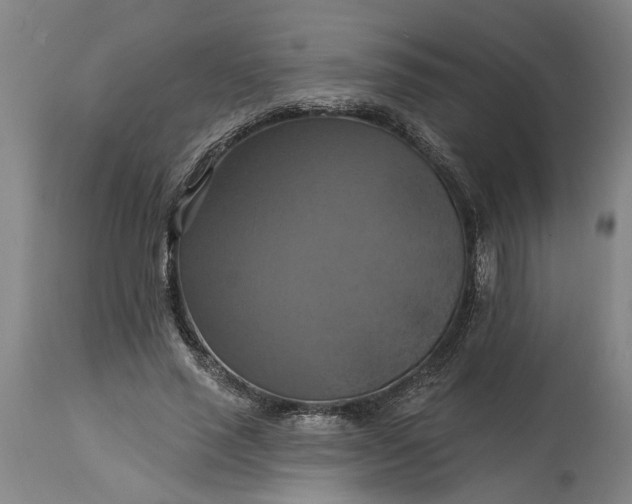 X0000115450637200911181548