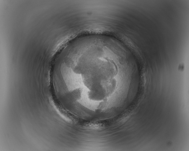 X0000115450638200911181548