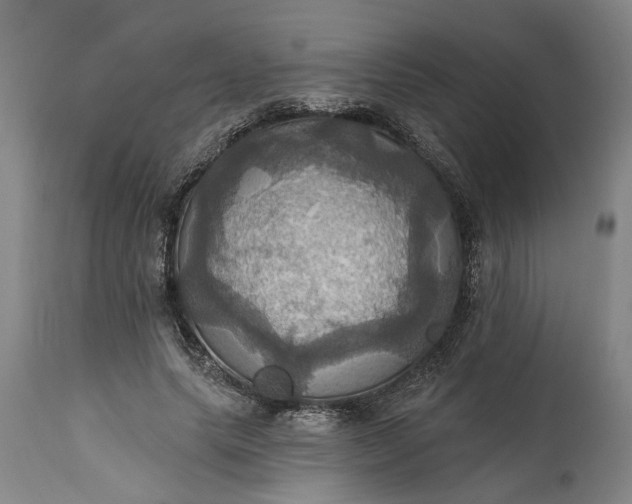 X0000115450639200911181548