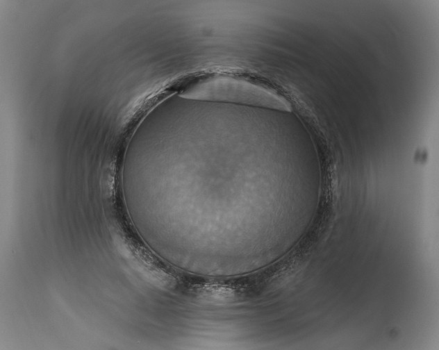 X0000115450640200911181548